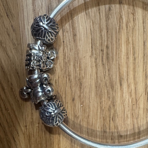 Sterling Silver Pandora Charm Bracelet - Picture 3 of 4